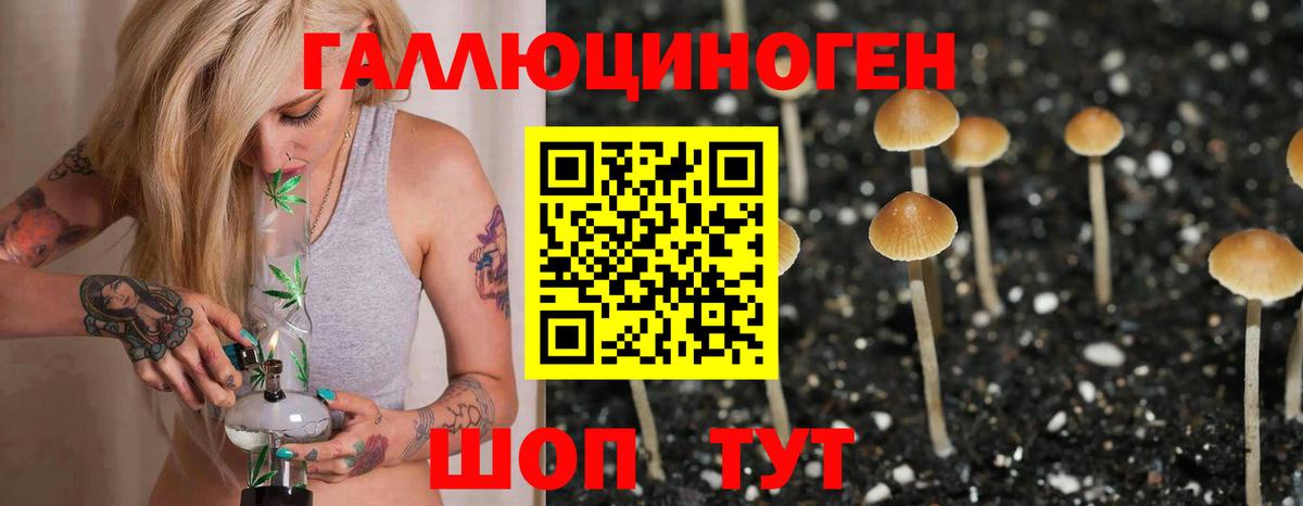 Галлюциногенные грибы Psilocybe  Галлюциногенные грибы ЛСД  Чита  Вход с VPN 